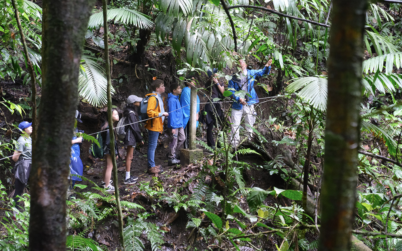 Students, teachers, and their guide hike through the rainforests of Costa Rica