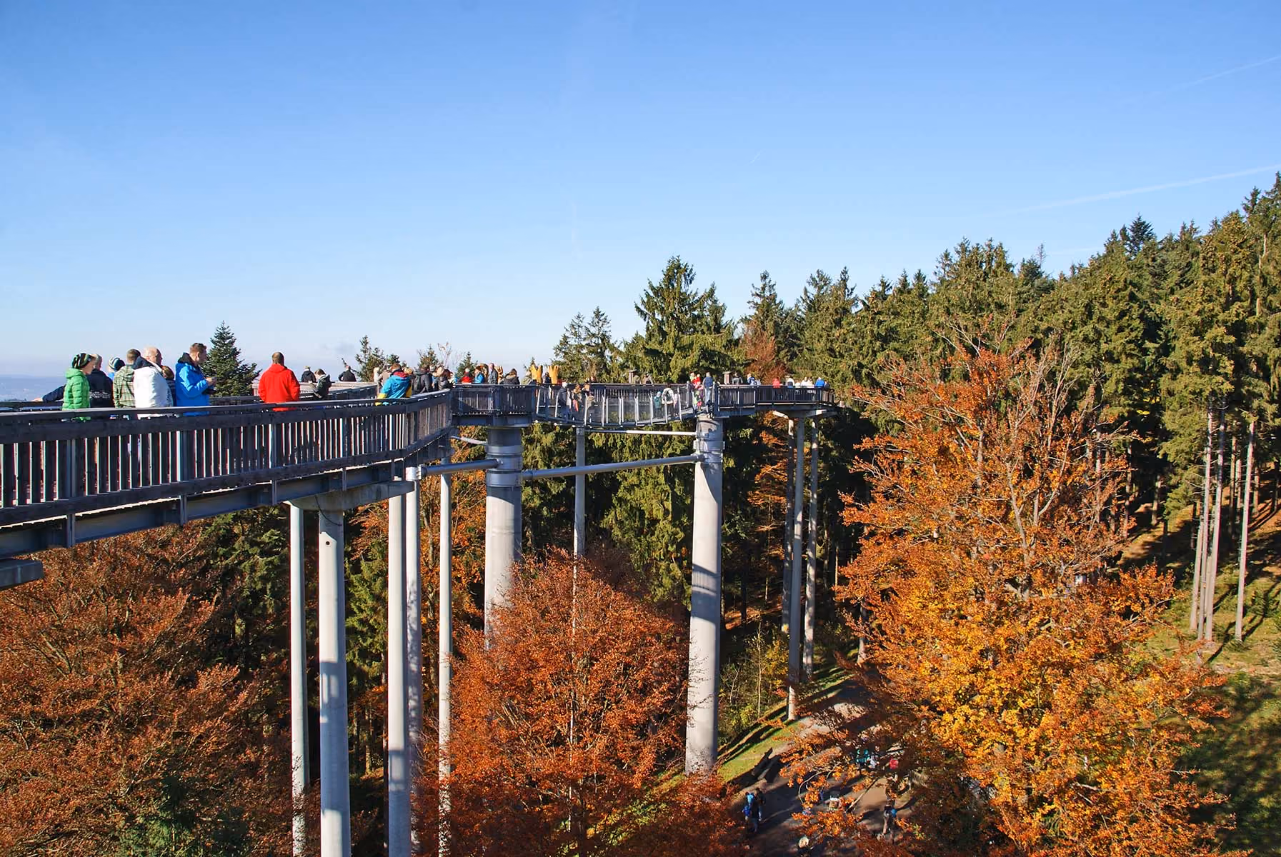 Der Waldwipfelweg in Sankt Englmar führt durch herbstliche Baumkronen