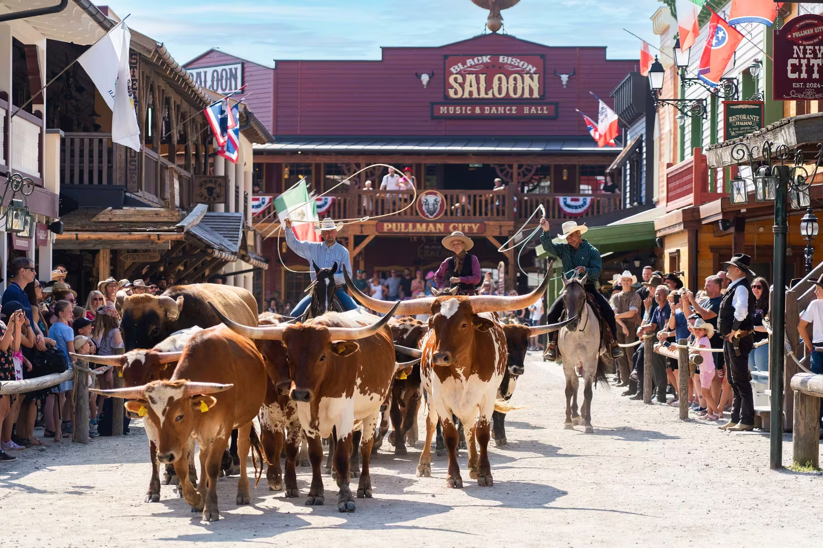 Westernstadt Pullman City mit Longhorn-Rindern auf der Hauptstraße