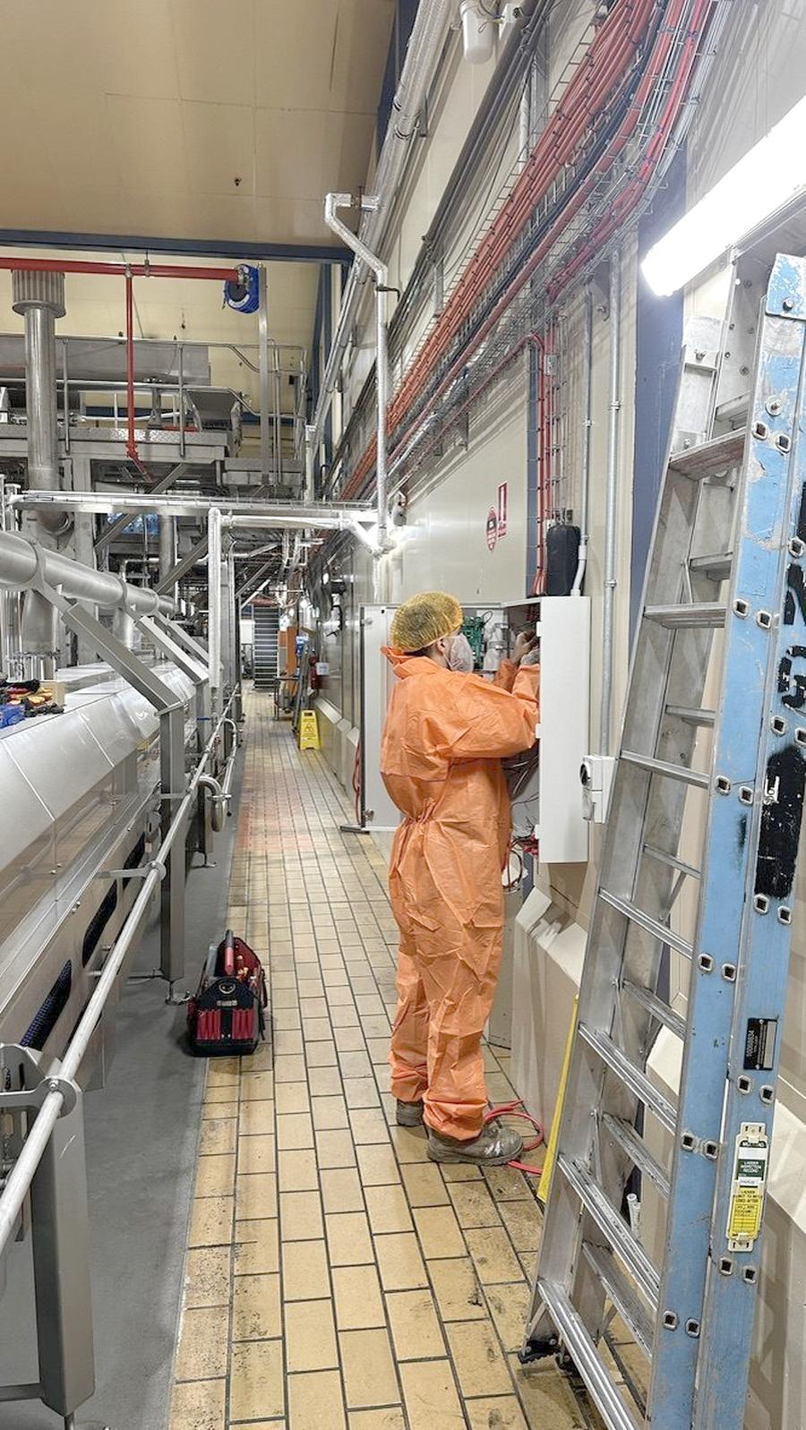A BBH electrician working in a commercial food production facility.