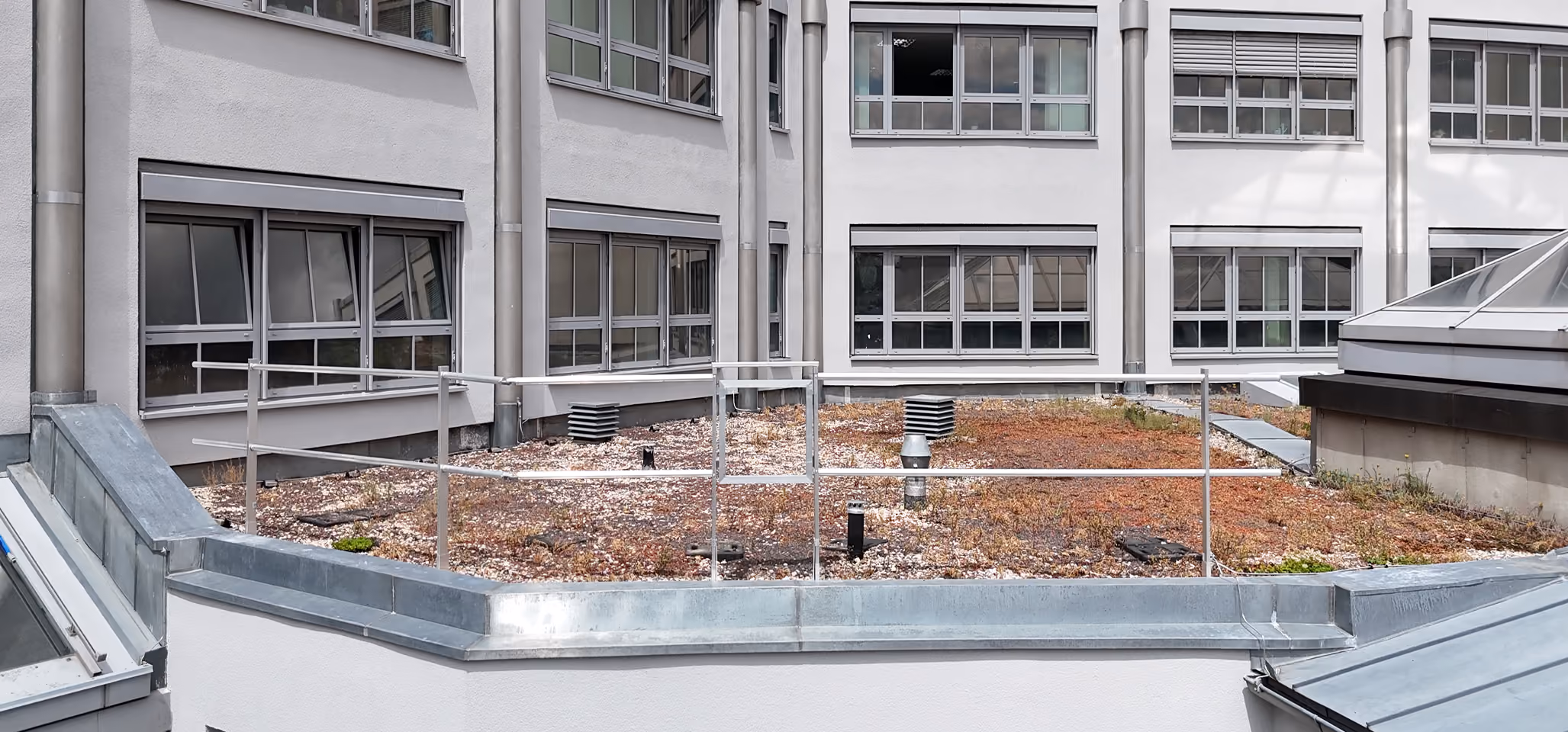 Flachdach mit Vegetation und Glasfenstern an einem weißen Gebäude mit Metallgeländer.