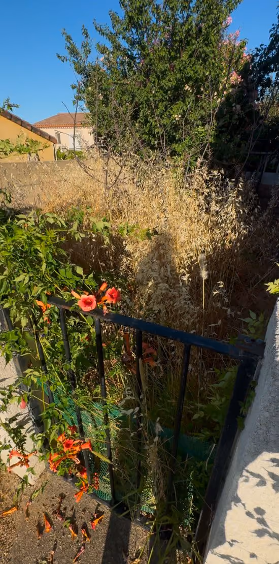 Remise en état d'un petit jardin avant intervention à Murviel-les-Béziers