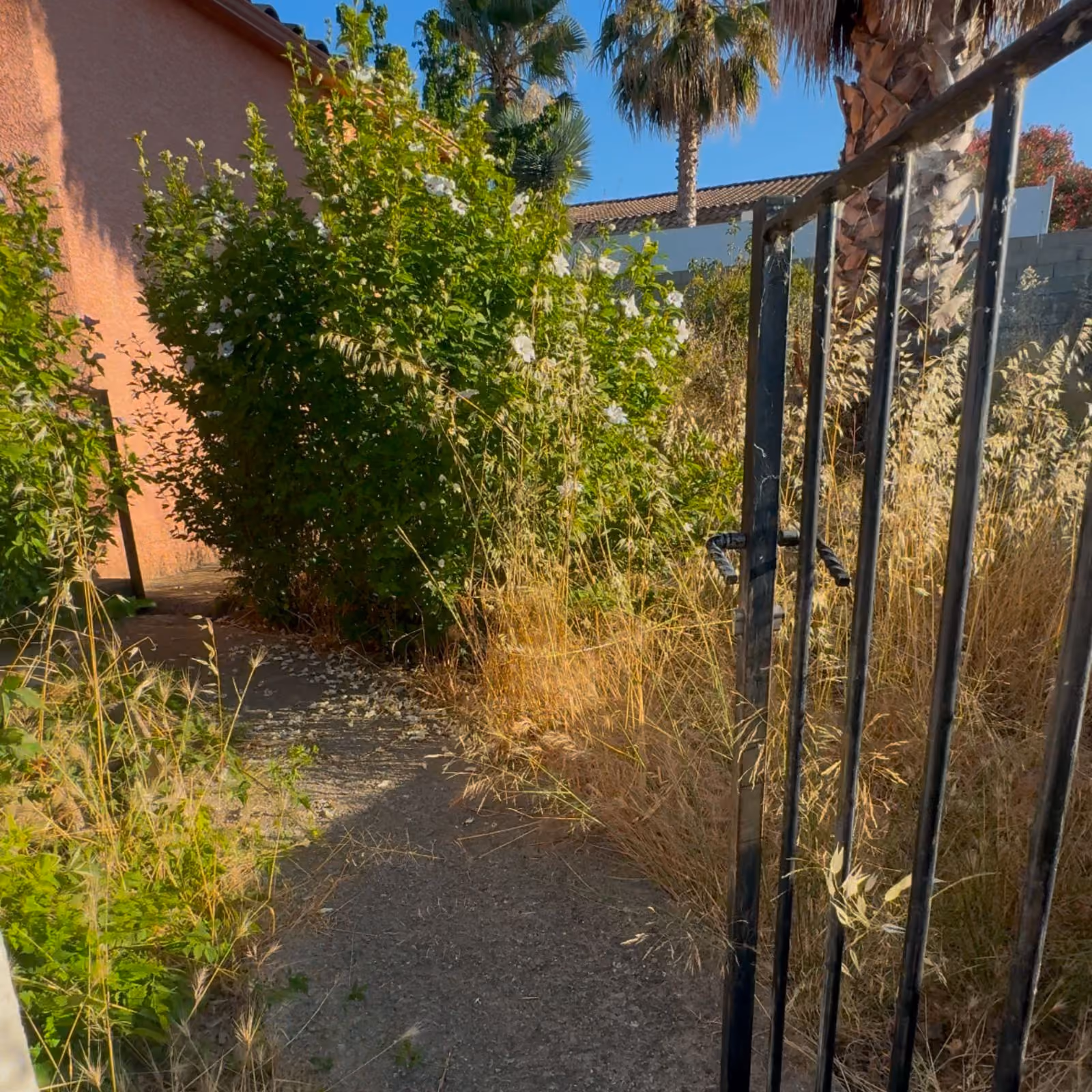 Remise en état d'un jardin avant intervention à Murviel-les-Béziers