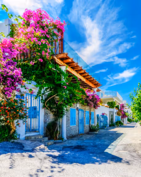 White houses with blue doors on a Bodrum street