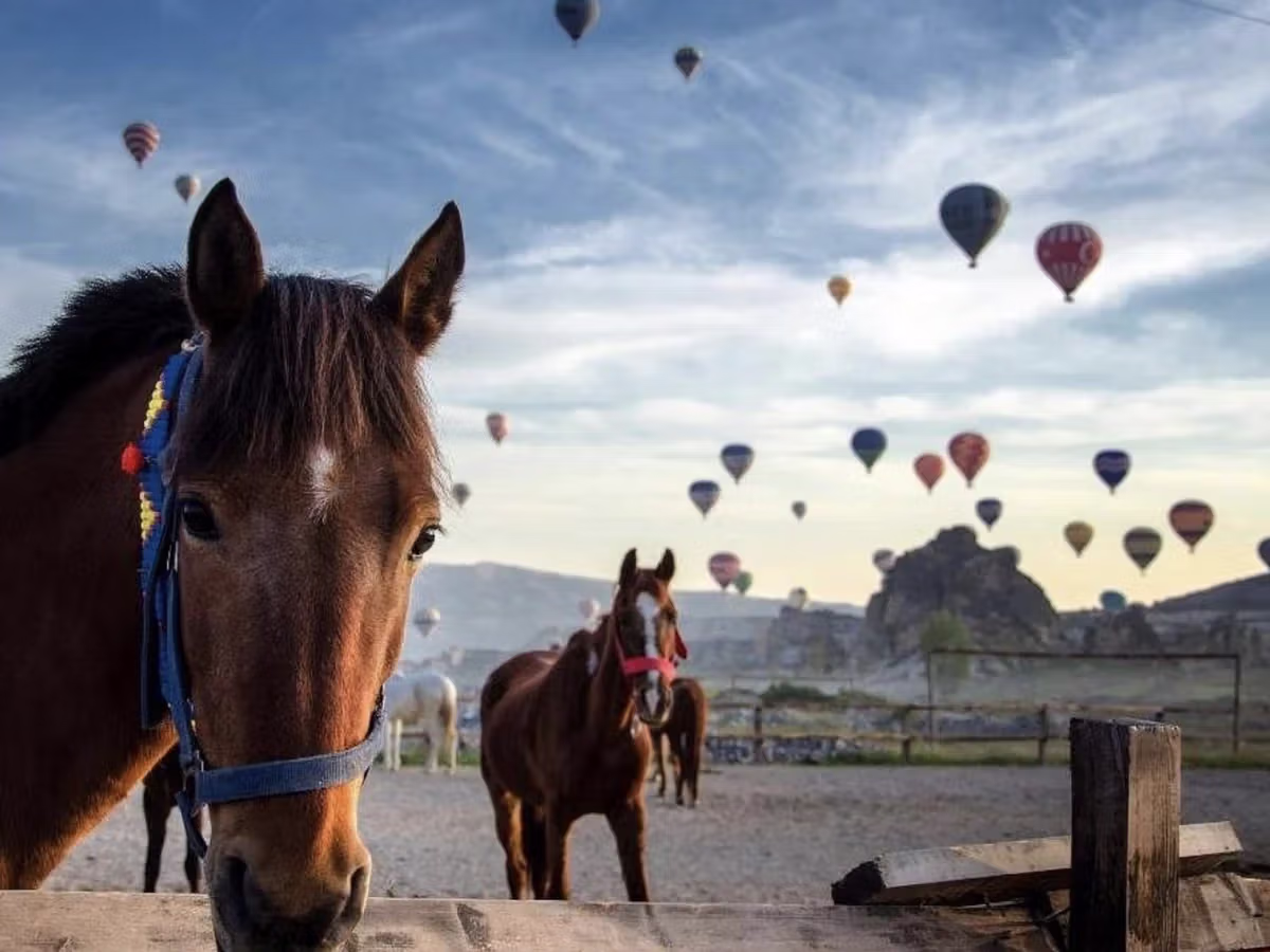 Cappadocia