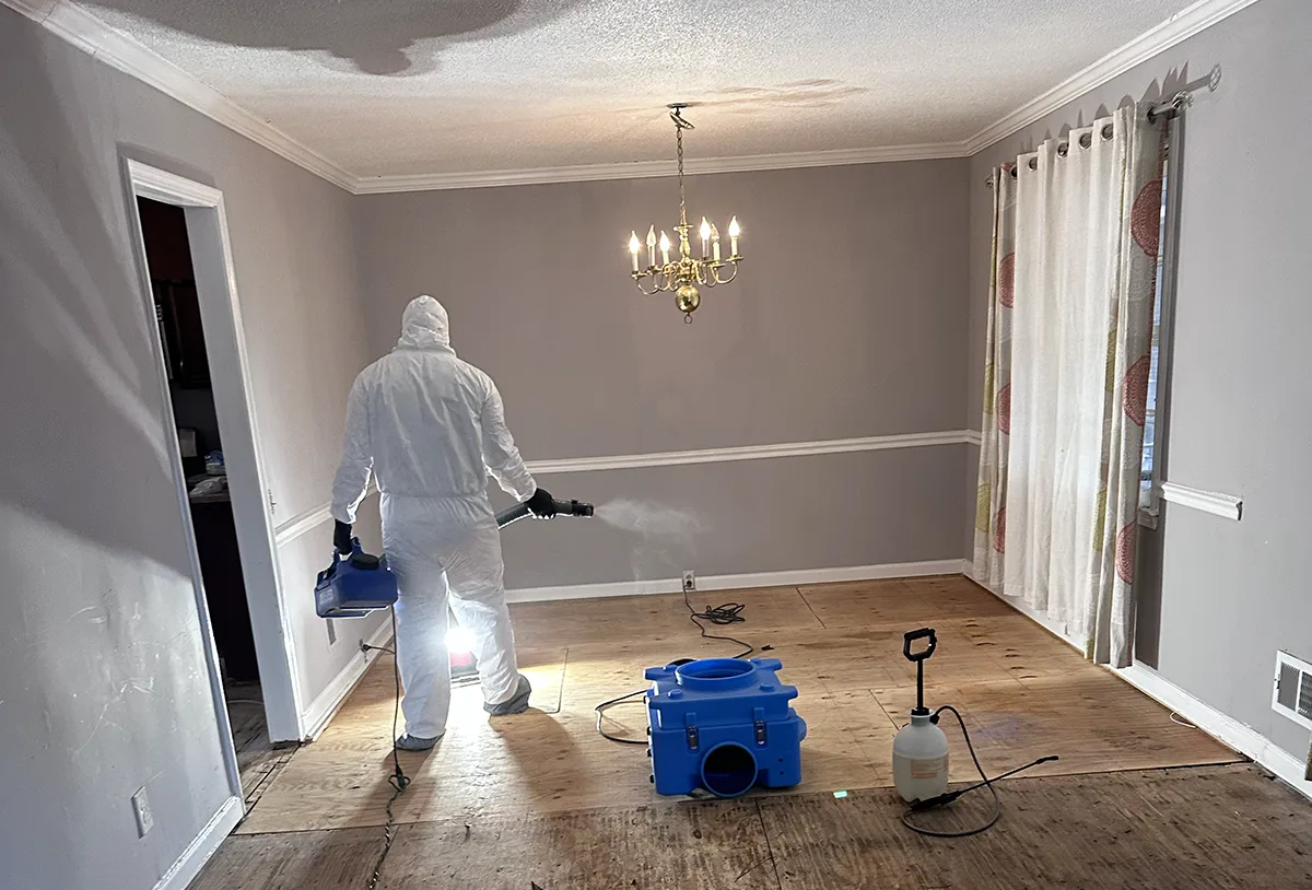 cleaning service