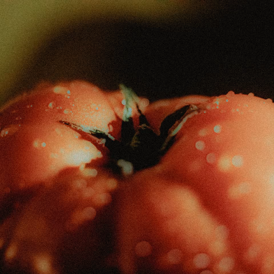 Close-up of a red tomato with water droplets on its surface and green stem visible at the top.
