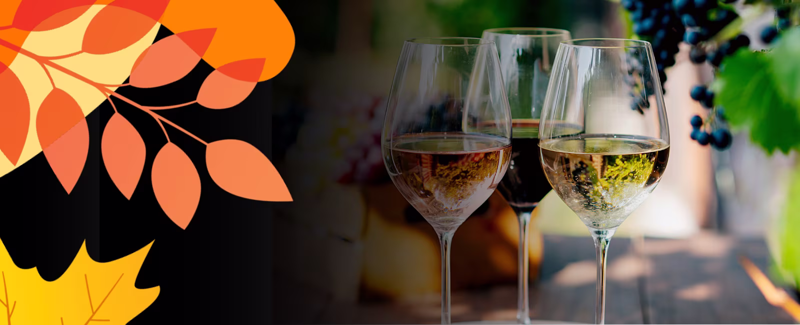 Wine & Conversations with Charter Member Greg Falada