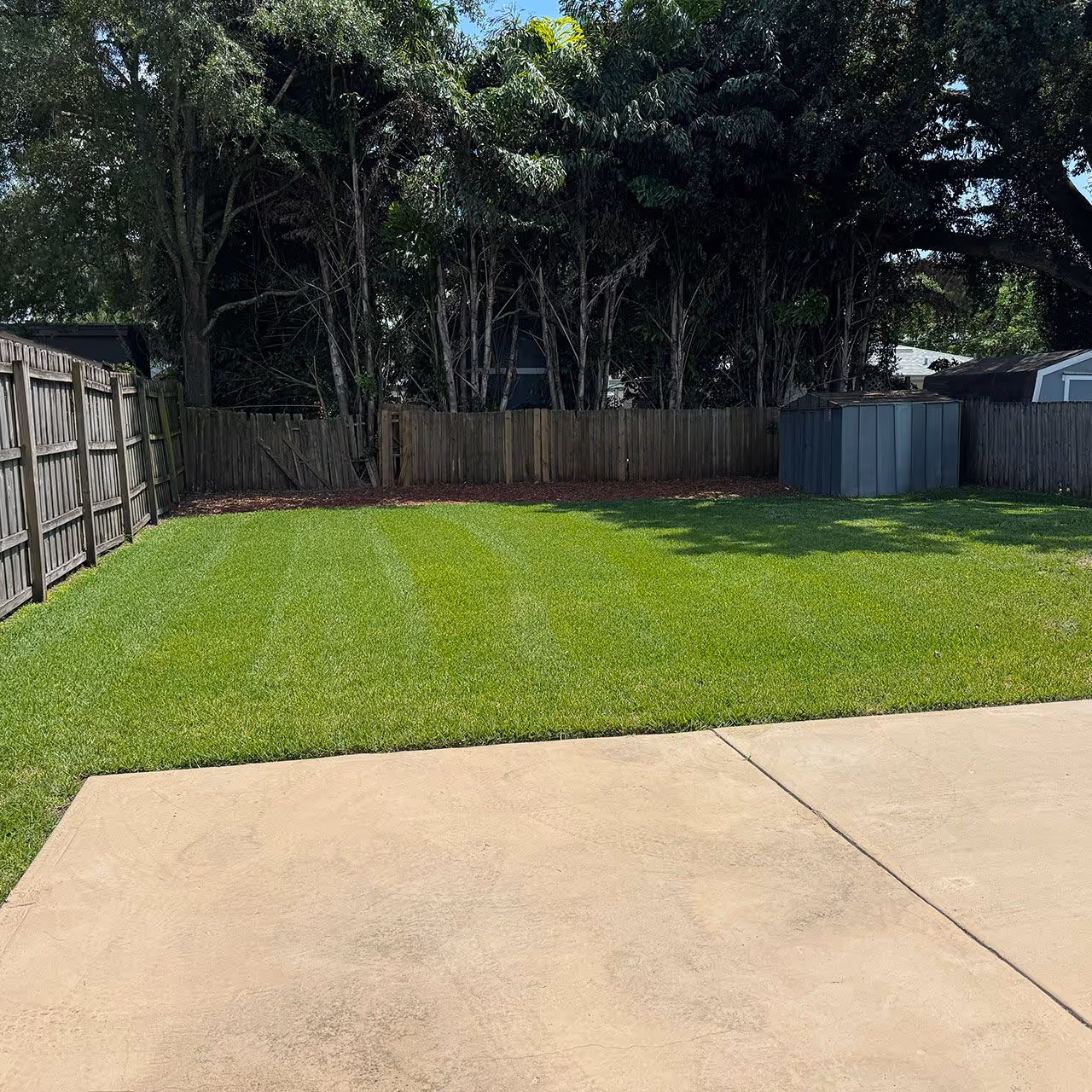 Yard cleanup and debris removal near me for a clean, refreshed outdoor space
