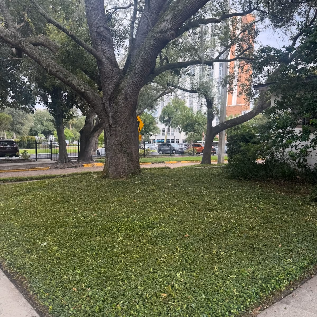 Commercial property maintenance by First Responders Land Care for clean and professional business landscapes in Orlando, Florida