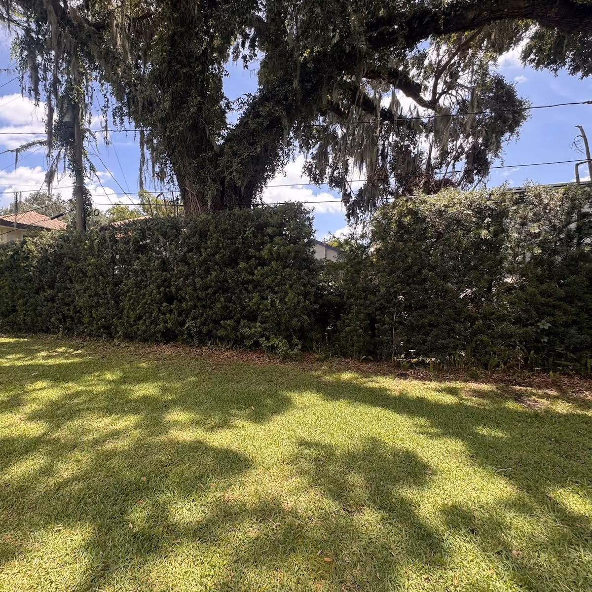 Seasonal yard cleanup by First Responders Land Care in Orlando, Florida