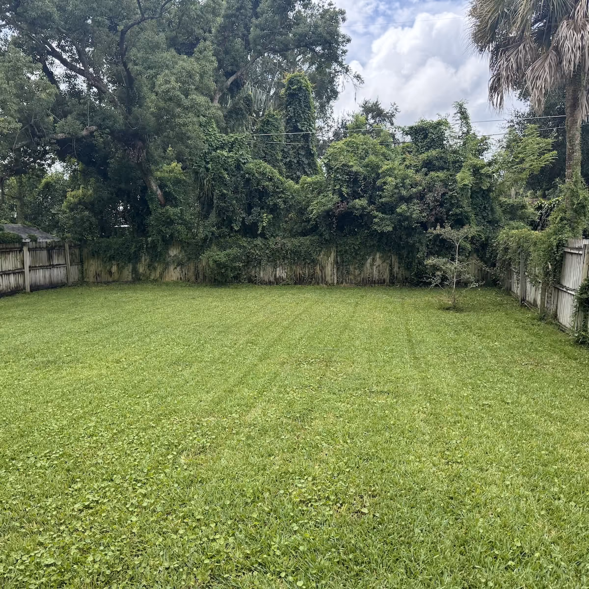 lawn mowing service near me with clean striped grass finish