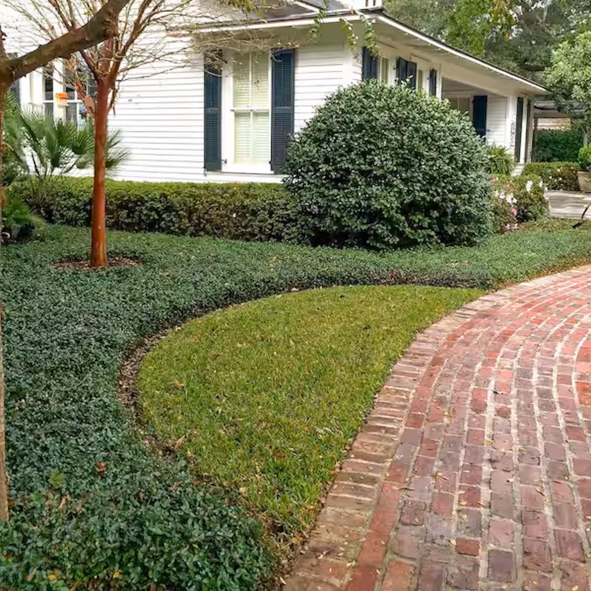 weekly lawn maintenance service for homeowners near me