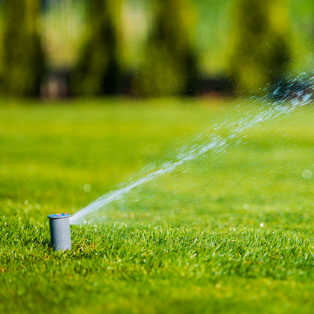 Irrigation repair services near me for healthy residential lawns