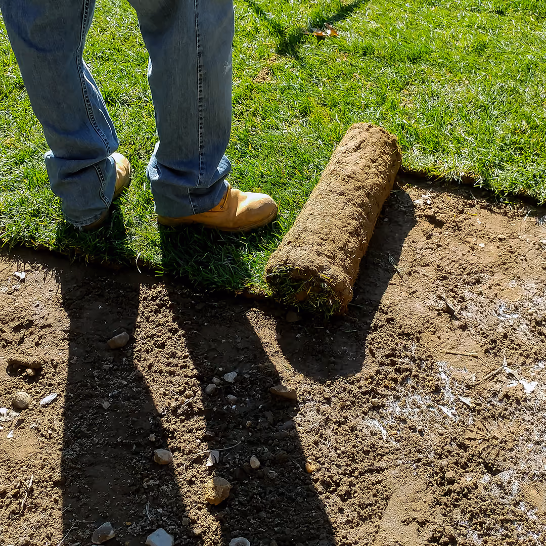 Professional sod installation by First Responders Land Care in Orlando, Florida