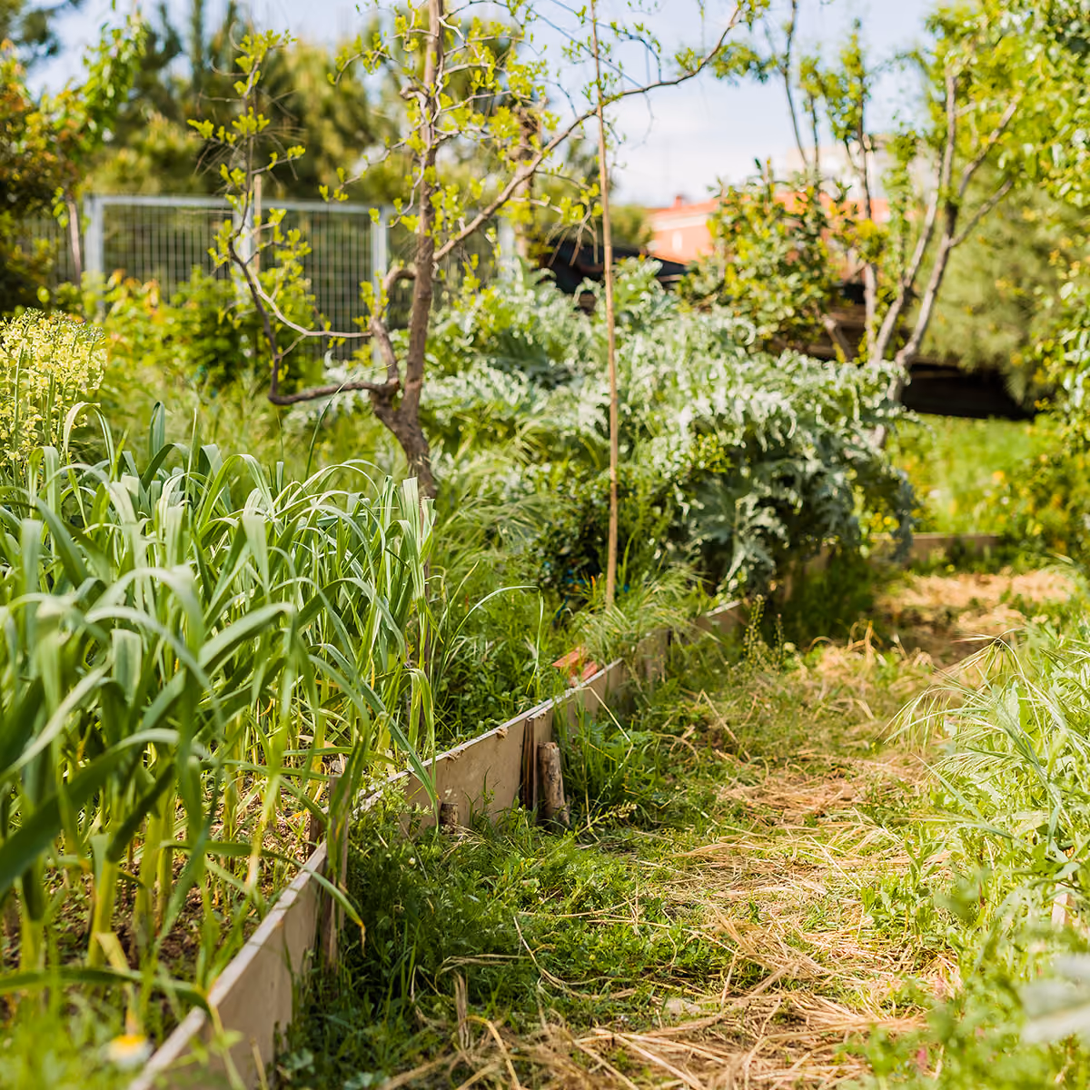 Professional property cleanup by First Responders Land Care with debris removal and yard restoration in Orlando, Florida