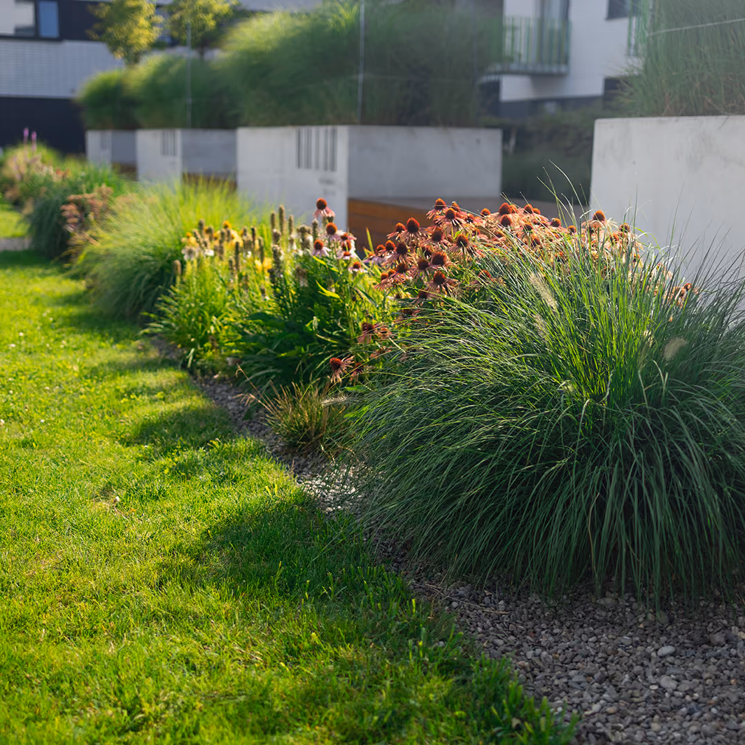 Landscaping services near me for beautiful, professionally maintained lawns, shrubs, and outdoor spaces in Central Florida