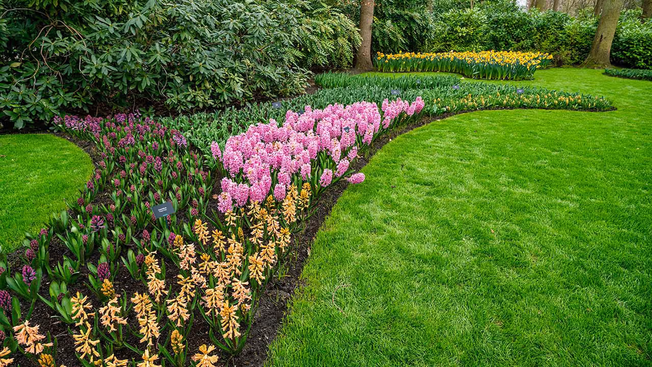 Professional flower bed landscaping by First Responders Land Care featuring neatly maintained plants and garden beds in Orlando, Florida