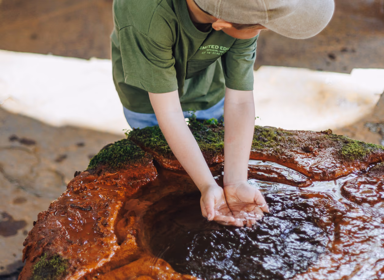 Un enfant en t-shirt vert et casquette recueille de l'eau claire dans ses mains dans une source naturelle.