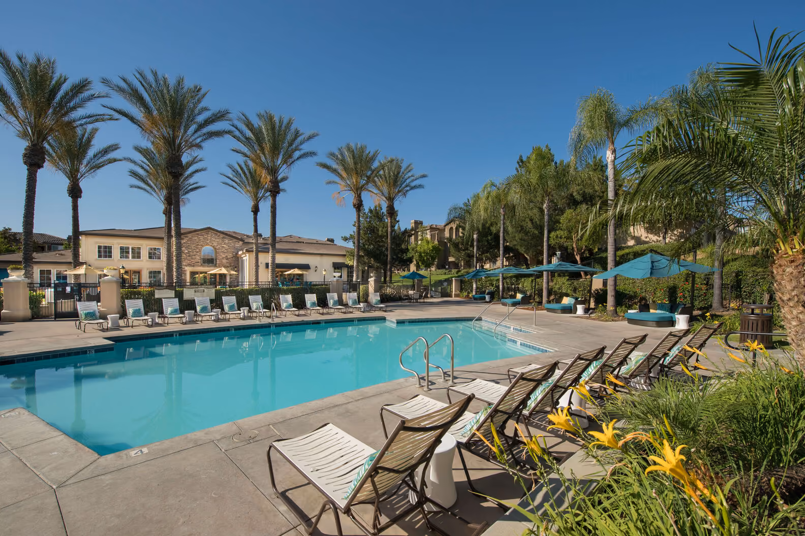Pool and outdoor area