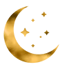 Moon icon