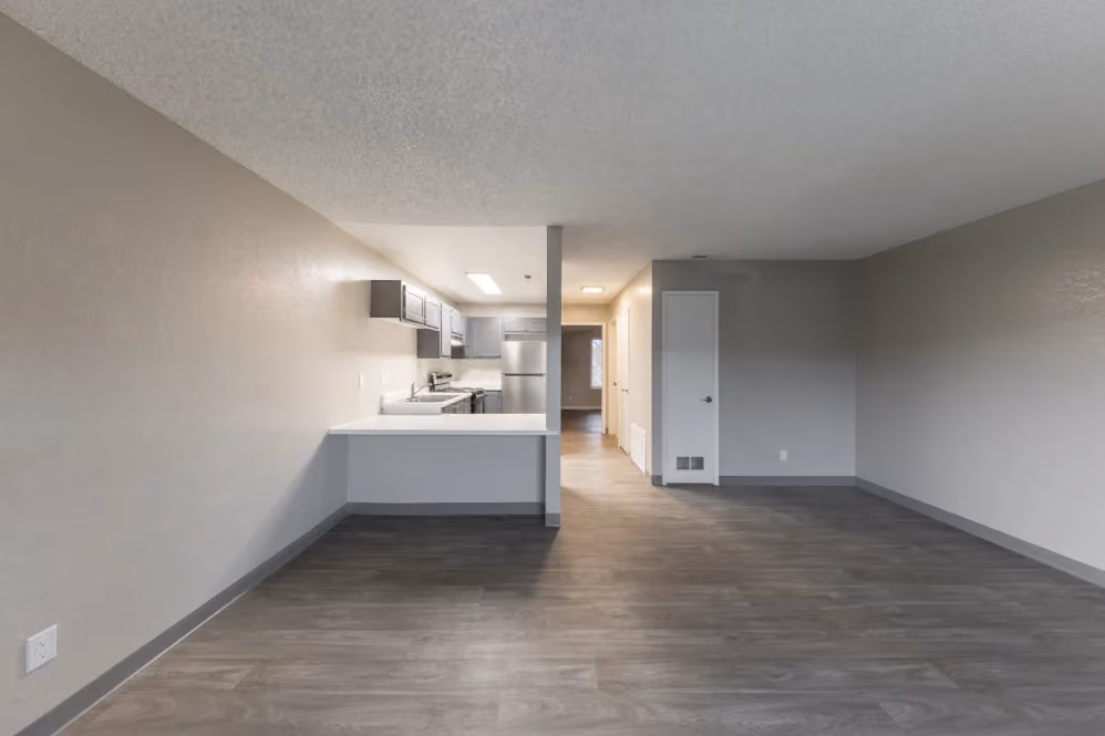 Living room/Enterance area looking in to kitchen