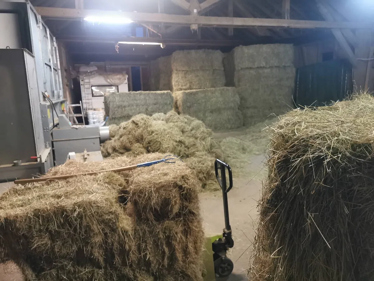 Indoor barn with stacked hay bales, loose hay piles, a pitchfork, and a pallet jack.