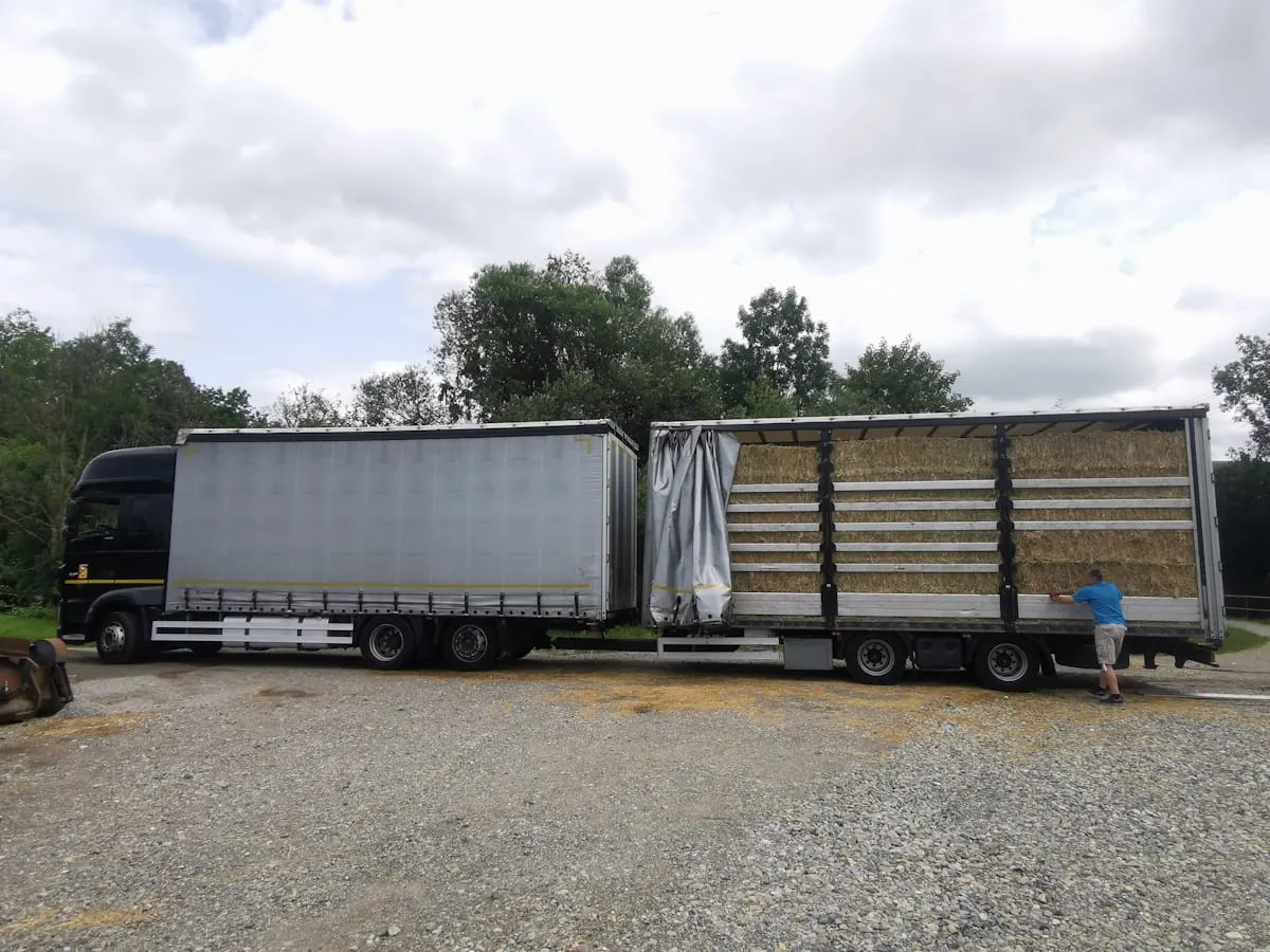 Man loading or unloading hay bales from a large truck trailer on a gravel surface near trees.