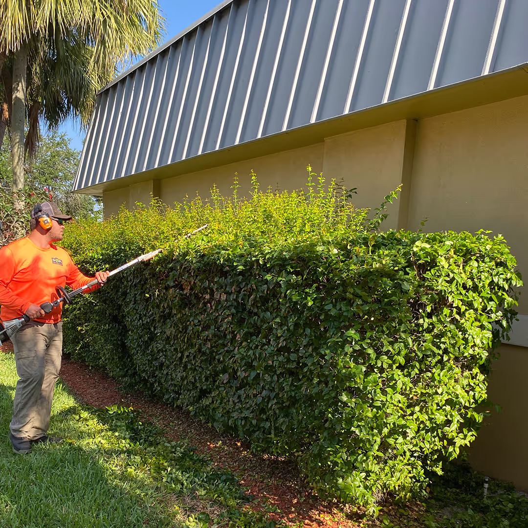 Professional bush trimming and shrub maintenance by Premier Landscape & Irrigation for commercial properties in Southwest Florida