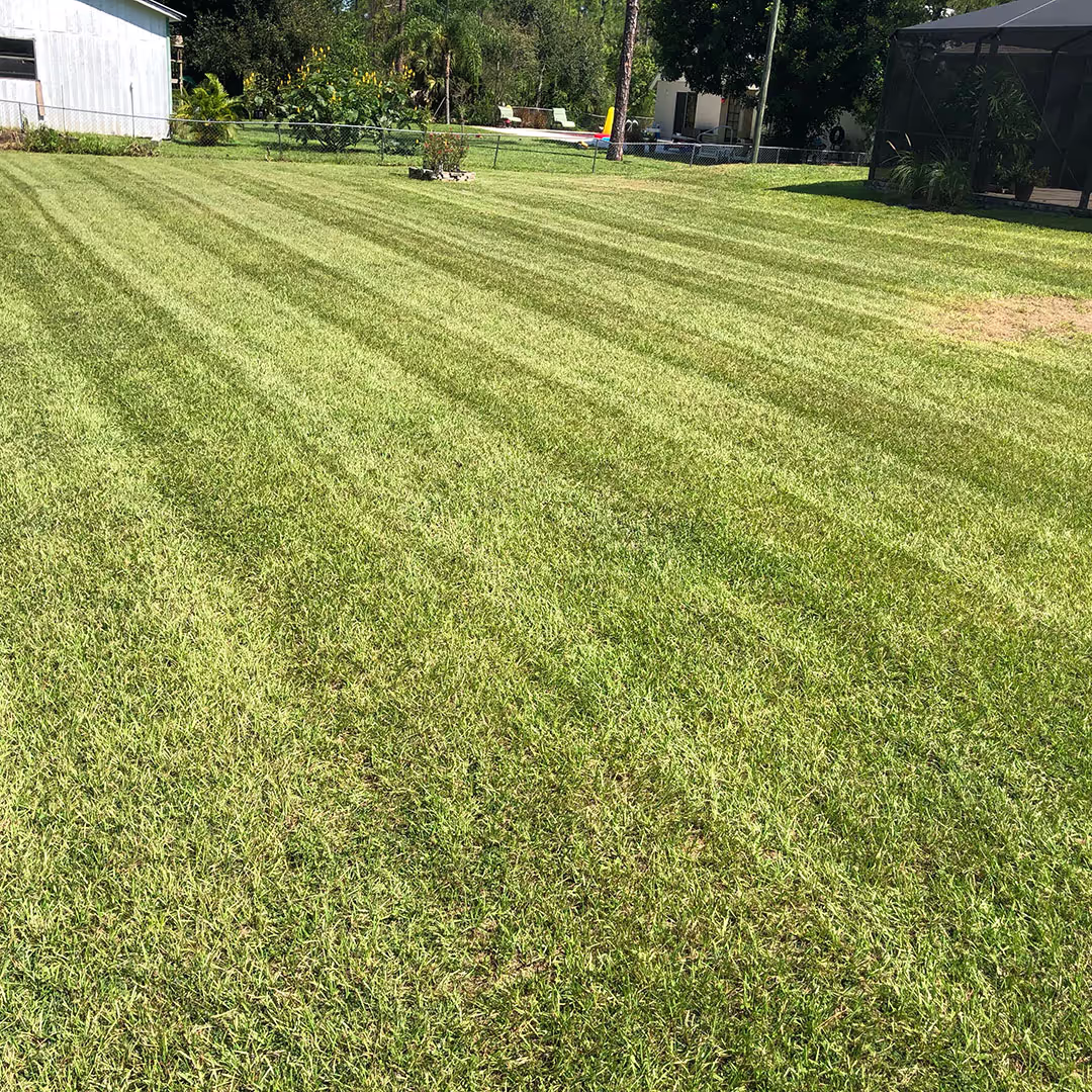 HOA landscape maintenance by Premier Landscape & Irrigation
