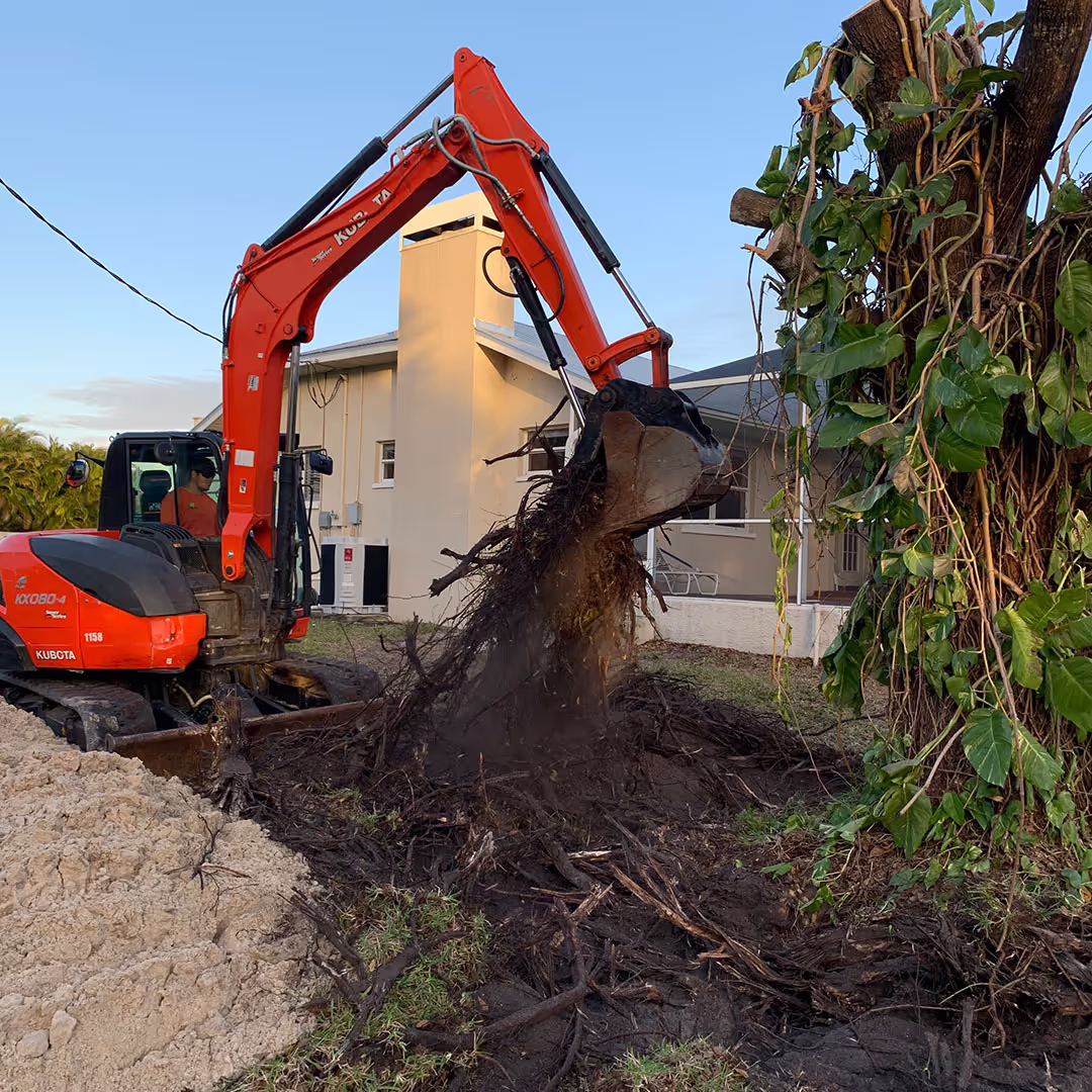 Commercial tree trimming by Premier Landscape & Irrigation
