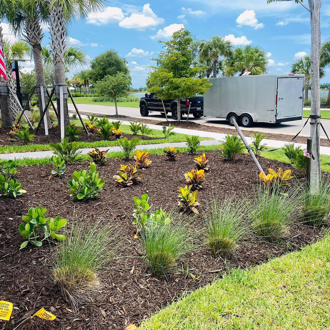 Landscape bed renovation near me