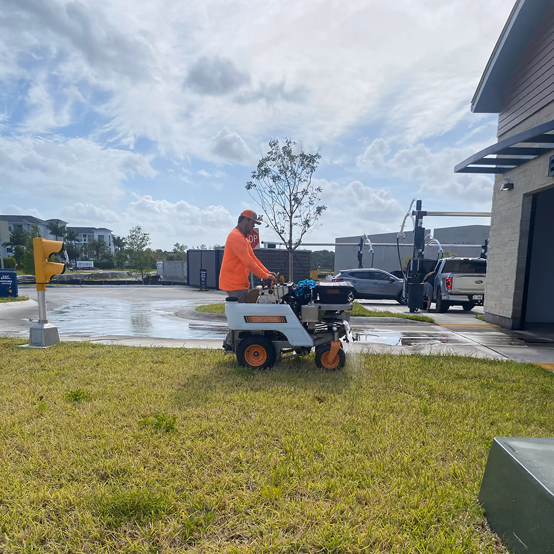 Healthy commercial lawn after fertilization treatment