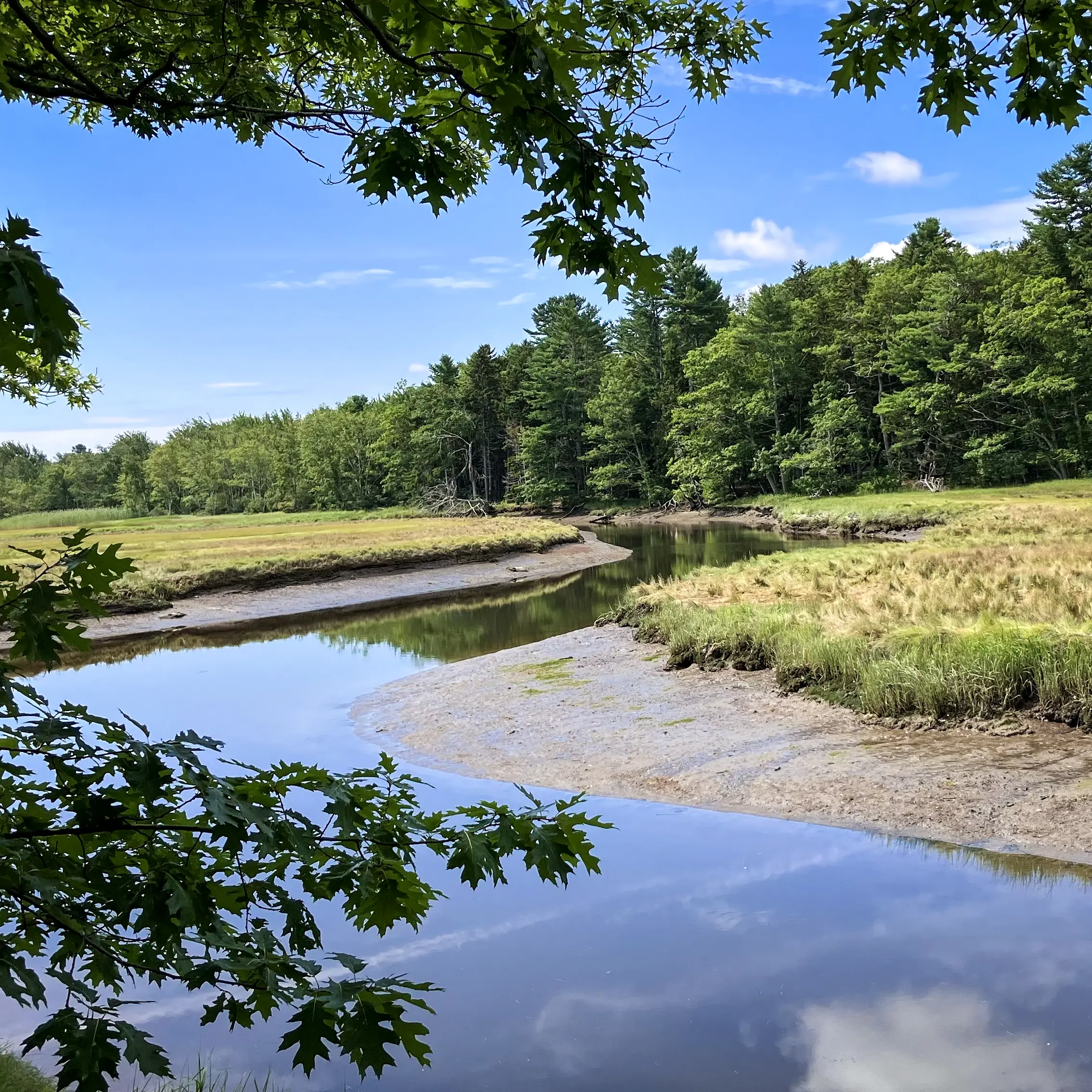 Salt marsh trail at Rachel Carson National Wildlife Refuge