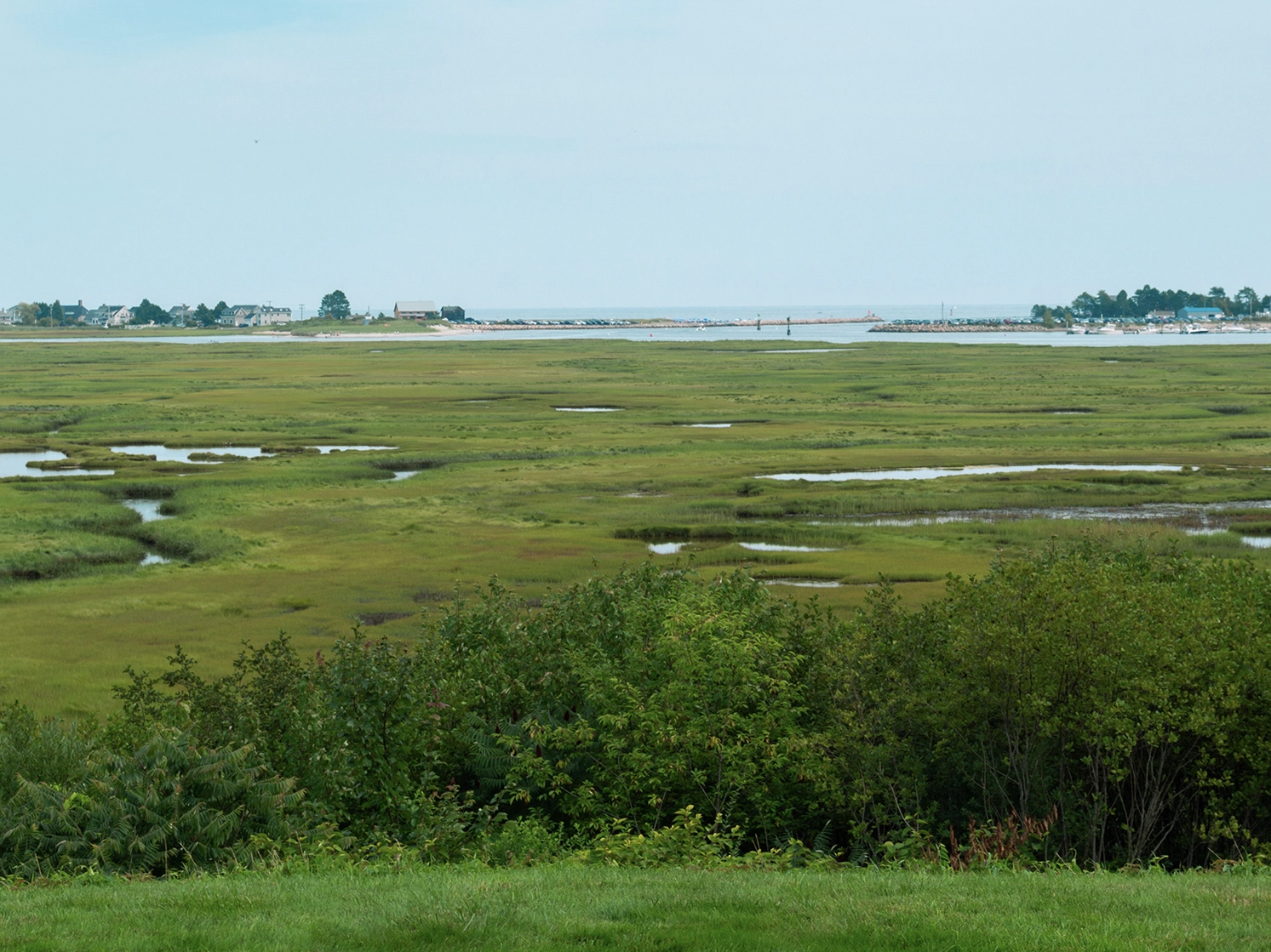 The salt marsh at the Salt Marsh Retreat