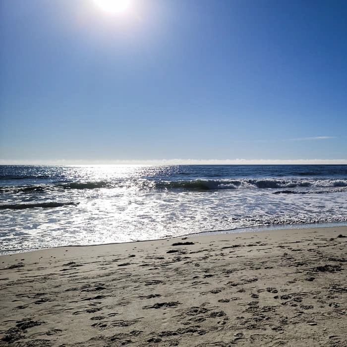 Moody Beach dunes between Wells and Ogunquit, Maine