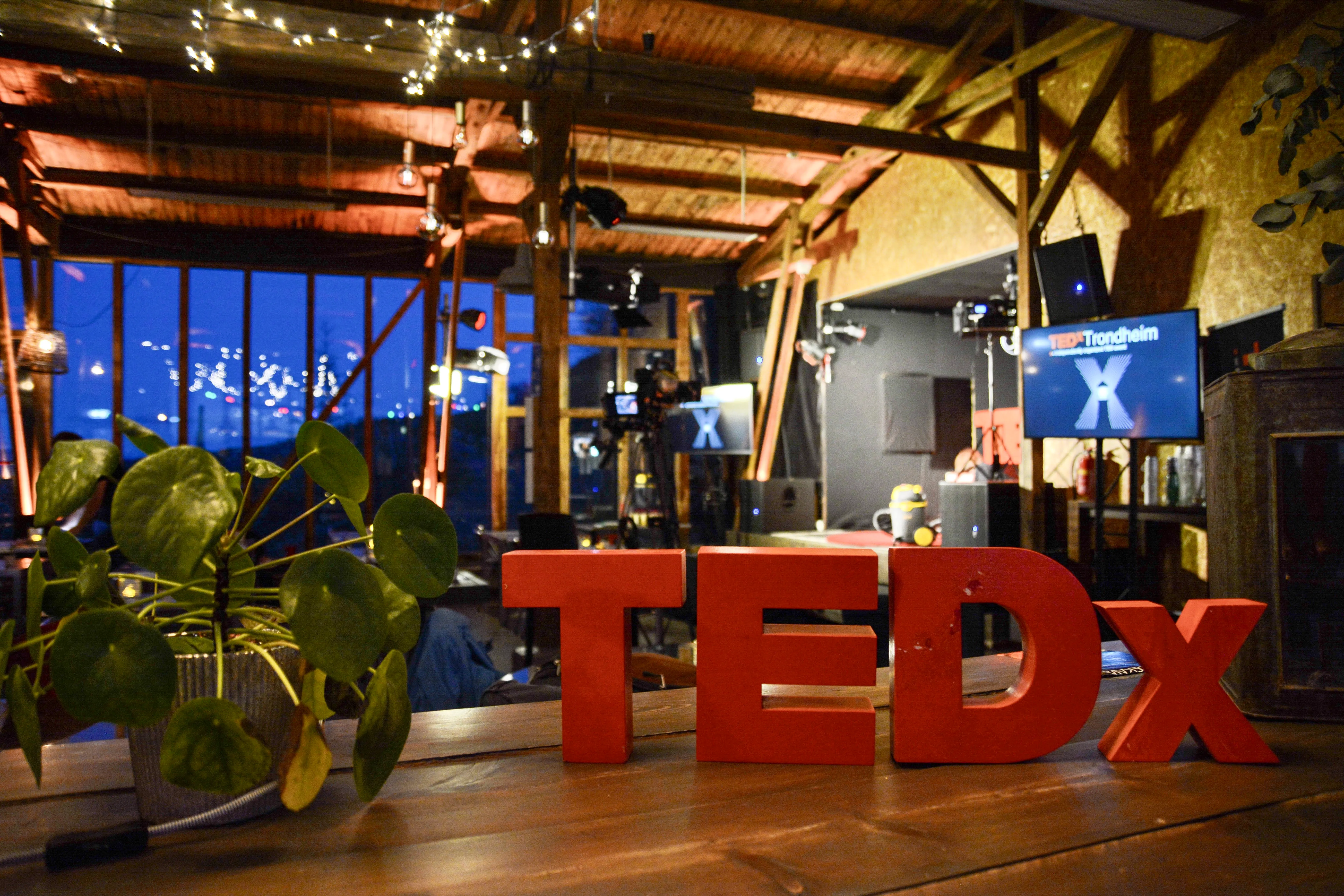 A ted X piece