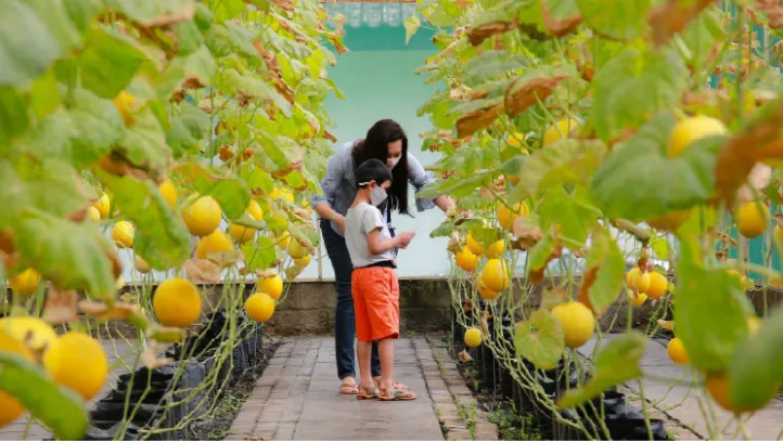 A woman and small child looking at plants in a garden