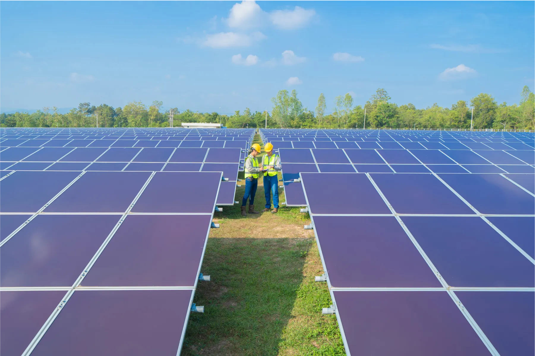 Solar panels in a field