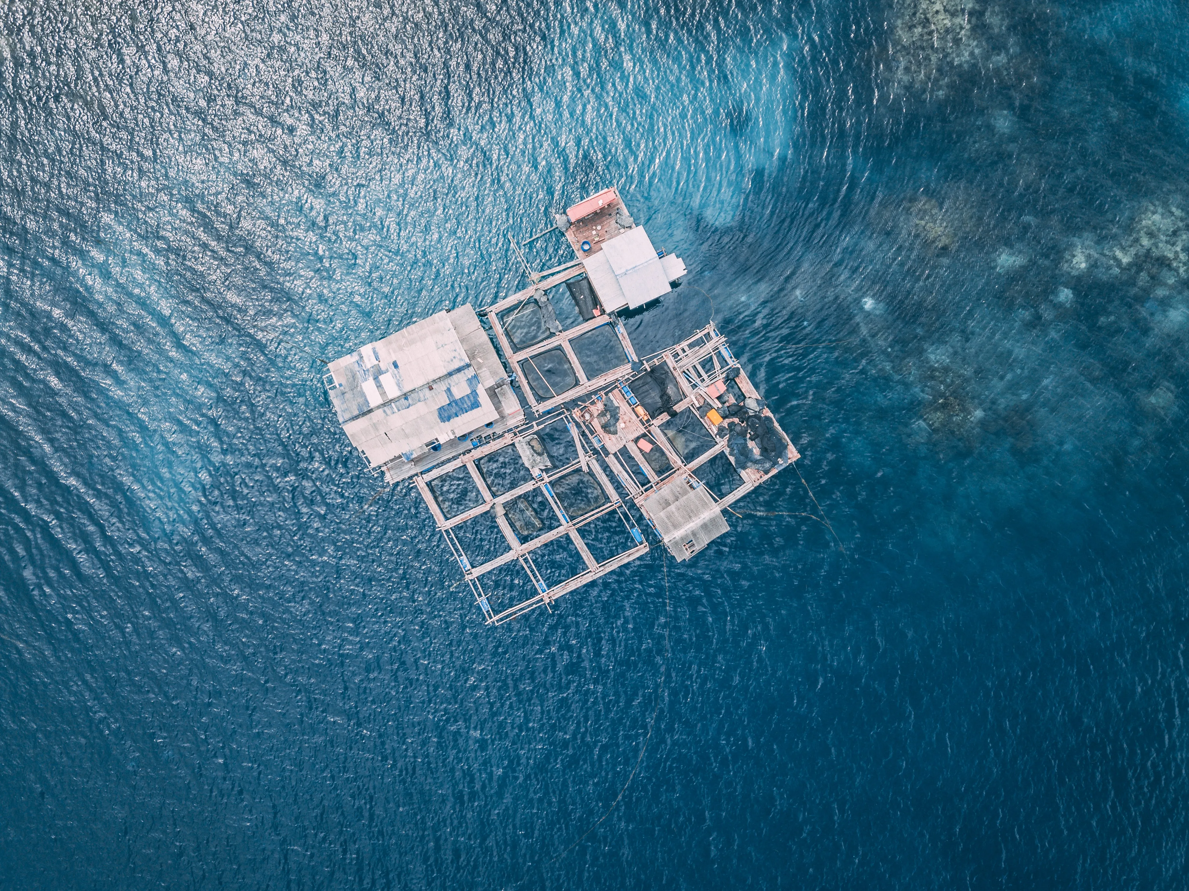 Aerial view of docks in the ocean
