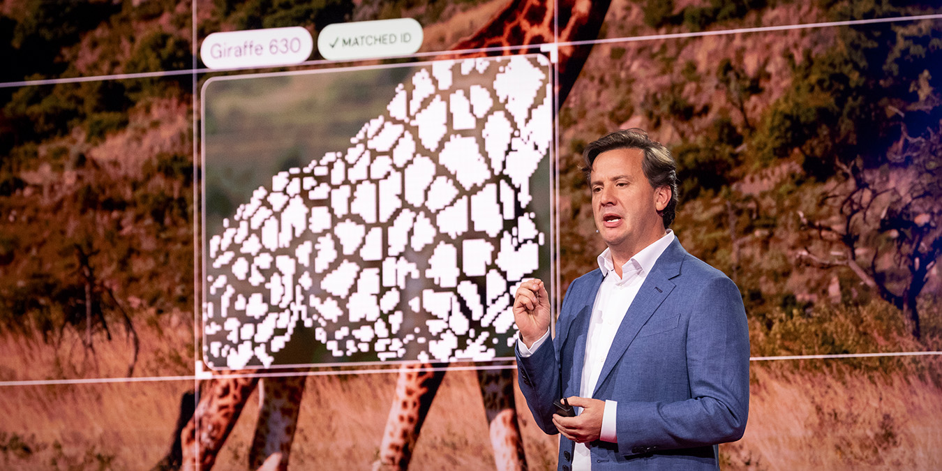 These AI devices protect nature in real time