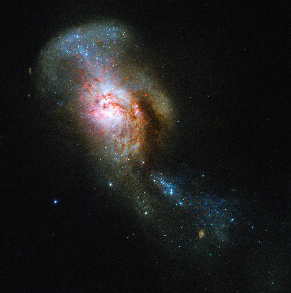 Deep space photograph of an irregular galaxy with a brightly glowing pink core, dark dust lanes, and a trailing stream of vibrant blue star clusters against a dark starry background.