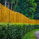 Banner Small Image