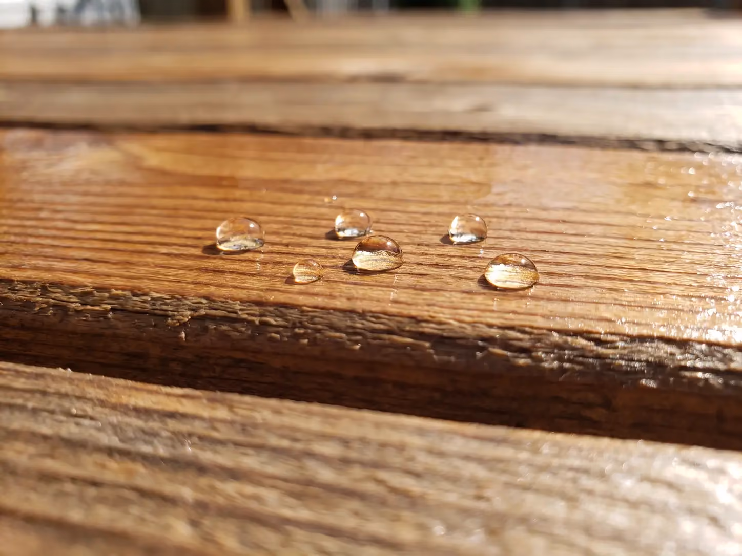 Water beading on a freshly sealed cedar fence board, showing the sealer is still working