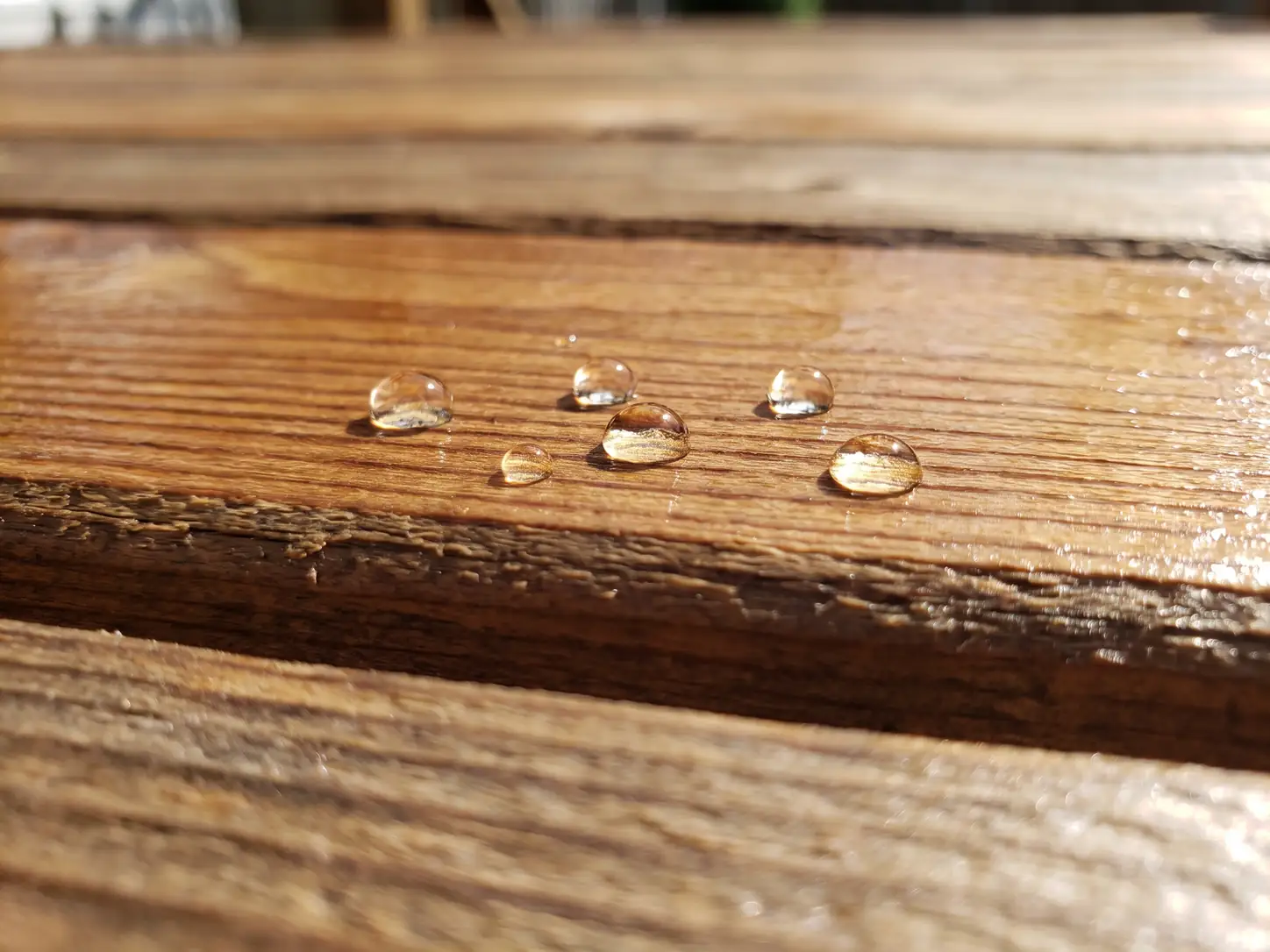 Water beading on a freshly sealed cedar fence board, showing the sealer is still working