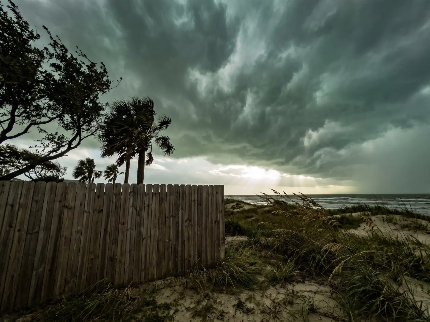 Cedar privacy fence standing intact as a Gulf Coast storm front moves in over bending trees
