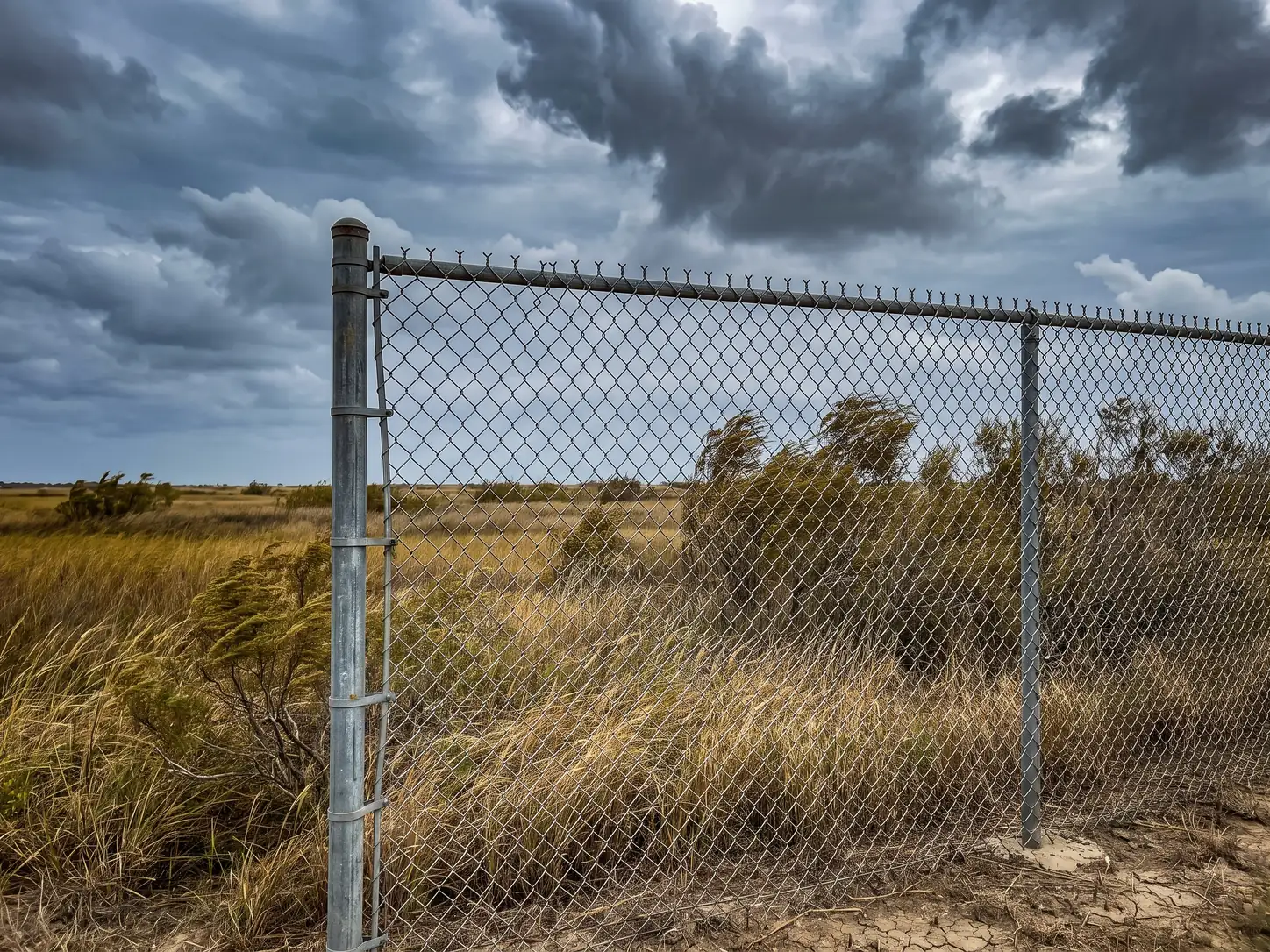 Chain link fence standing rigid in high wind while surrounding vegetation bends sideways
