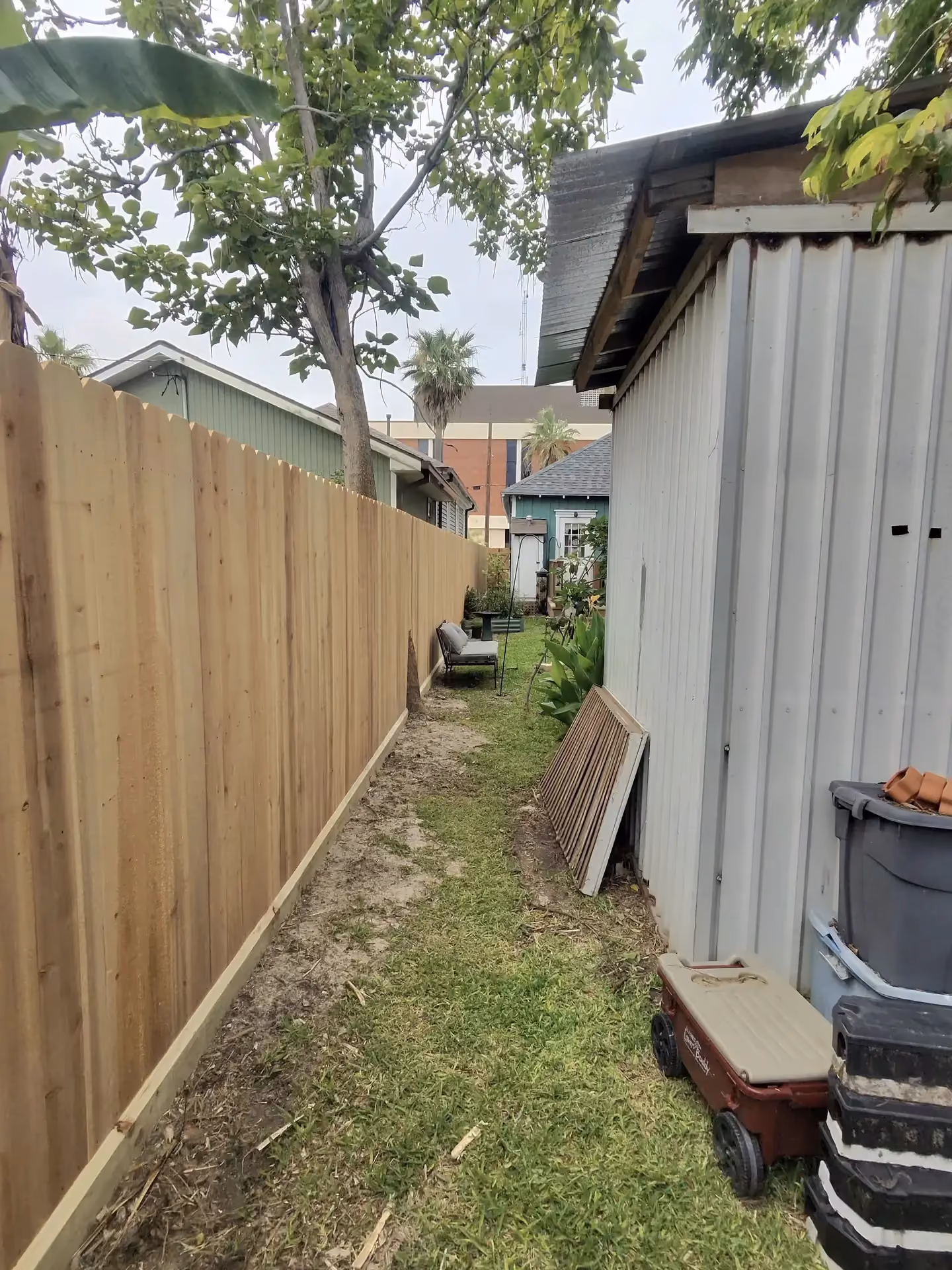 A new cedar privacy fence lines a narrow side yard path near a storage shed on the Texas Gulf Coast.