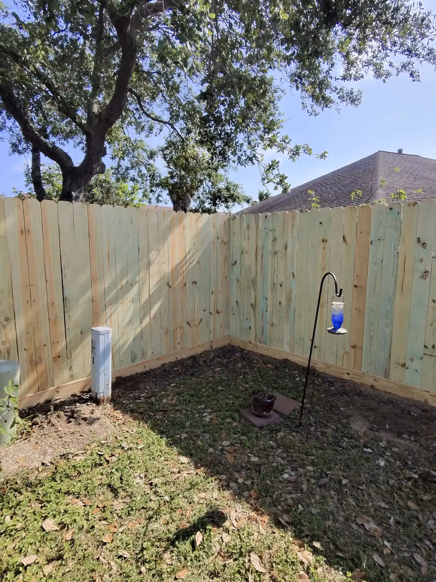 A freshly built cedar privacy fence encloses a backyard corner with a hanging hummingbird feeder in Pearland, TX.