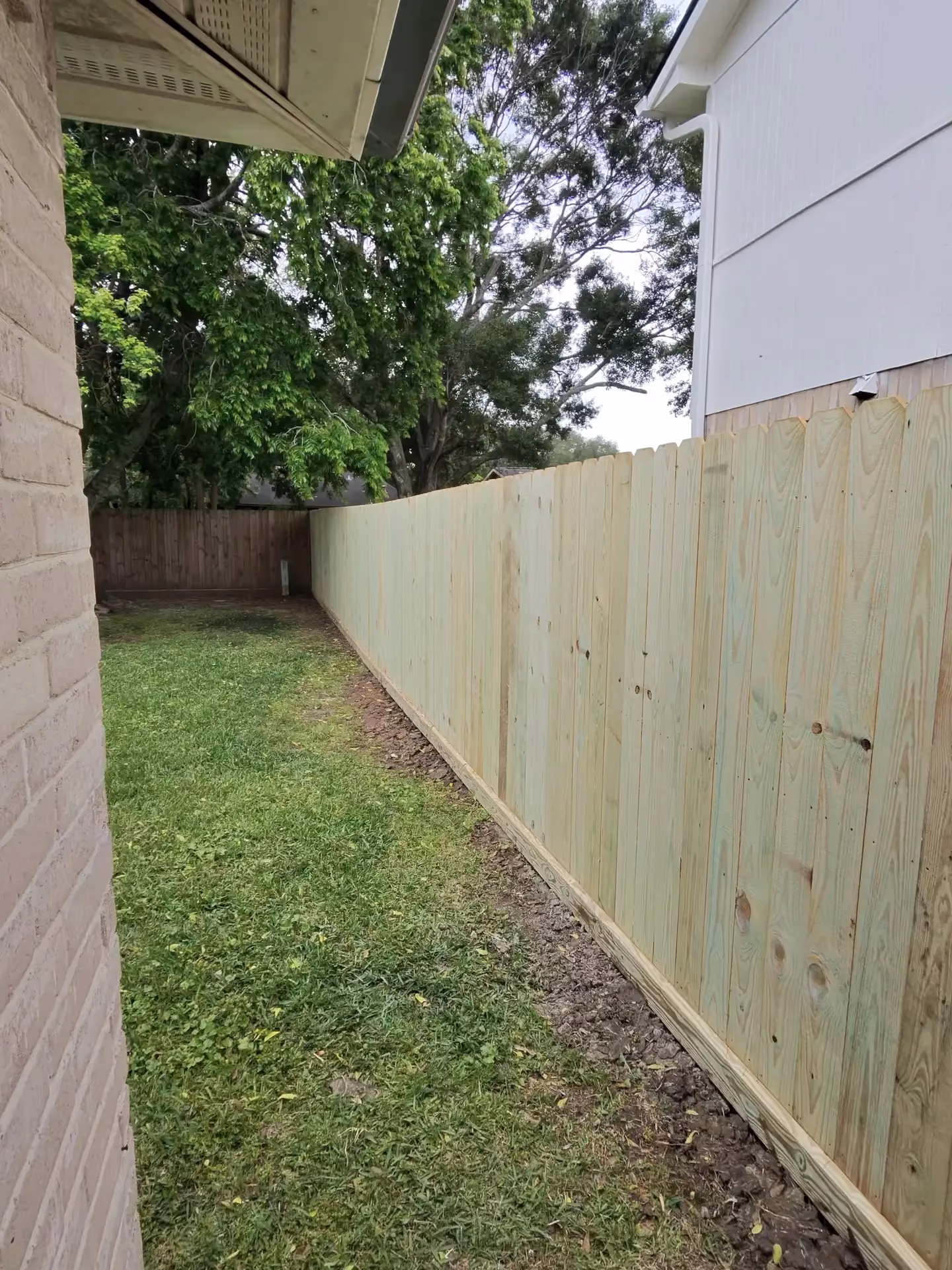 New pressure-treated wood privacy fence runs along a backyard bordered by mature trees and a brick home in Houston, TX.